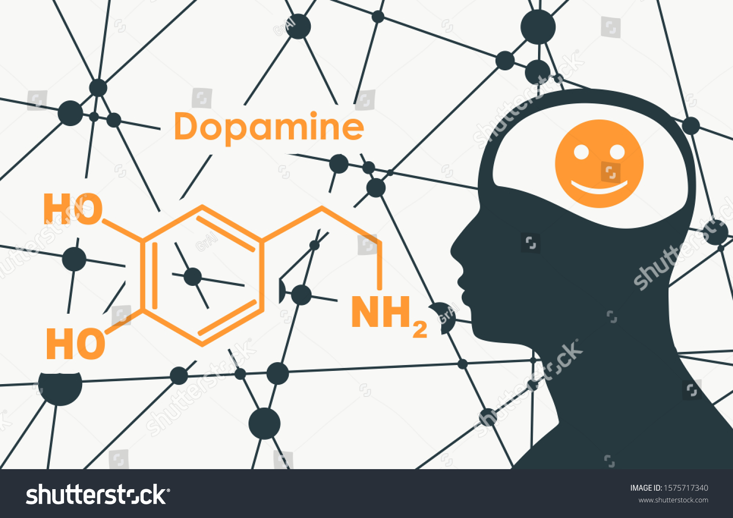 Chemical Molecular Formula Hormone Dopamine Silhouette Stock Illustration Shutterstock