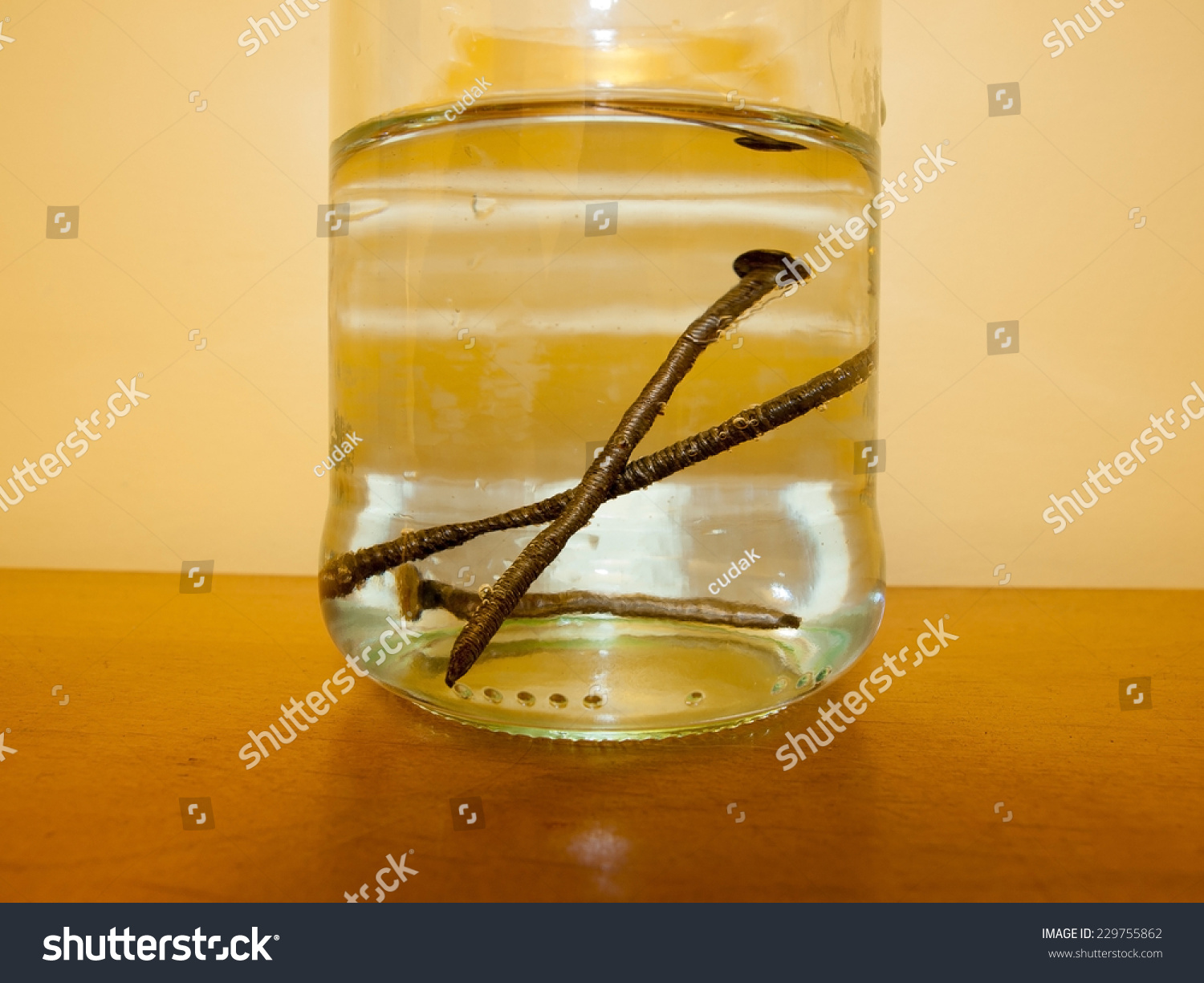 Chemistry Experiment Fe H2o Stock Photo (Edit Now) 229755862