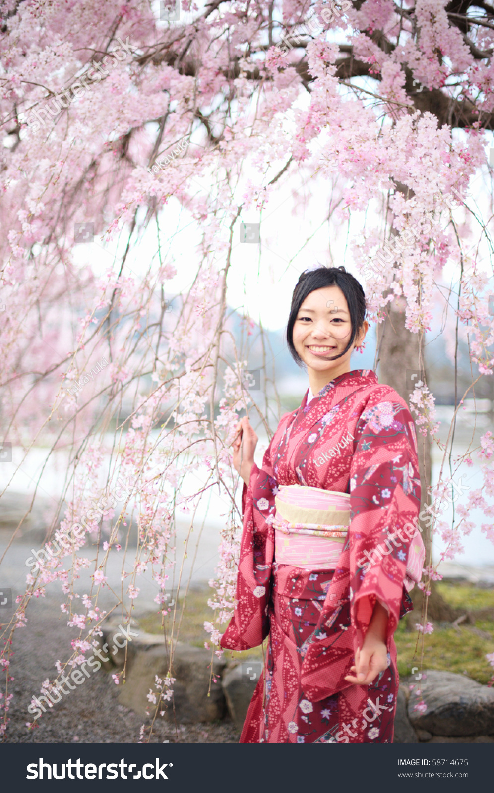 Cherry Blossom Japanese Kimono Female Stock Photo 58714675 - Shutterstock