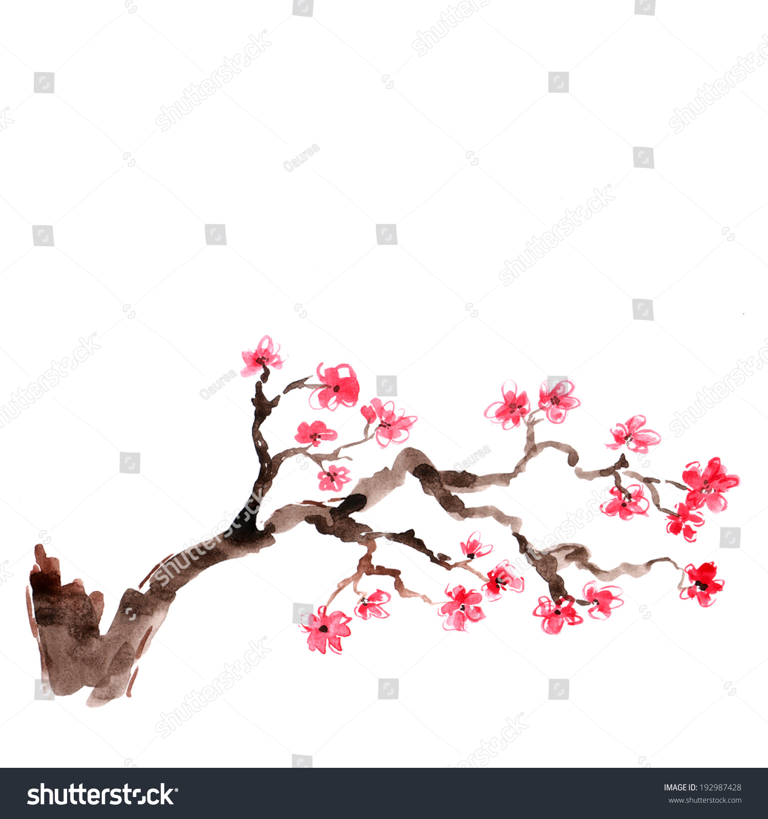 Cherry Blossom. Sakura Flowers. Floral Background. Branch With Pink ...