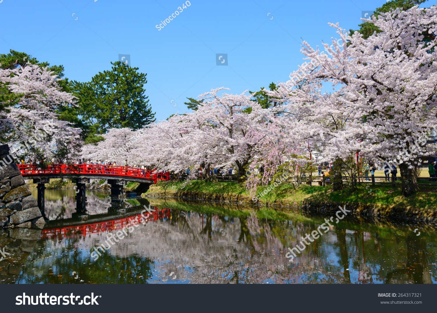 Cherry Blossoms At The Hirosaki Castle Park In Hirosaki, Aomori, Japan ...