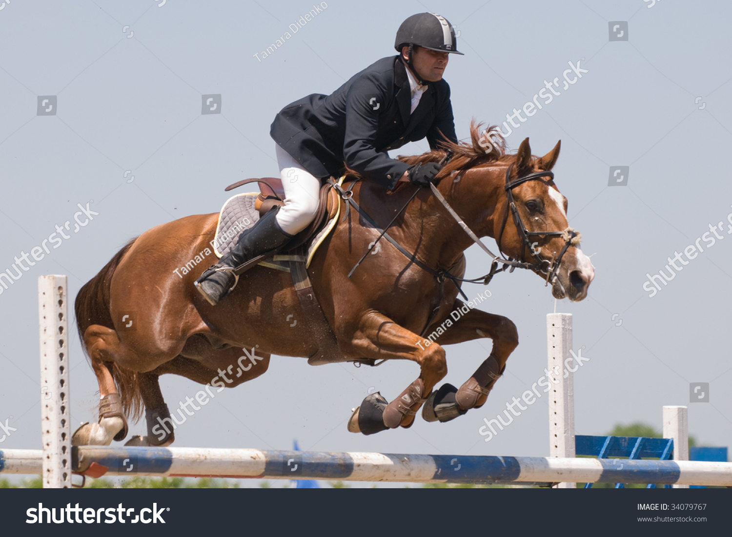 Chestnut Stallion Rider Jumping On Horse Stock Photo 34079767 ...