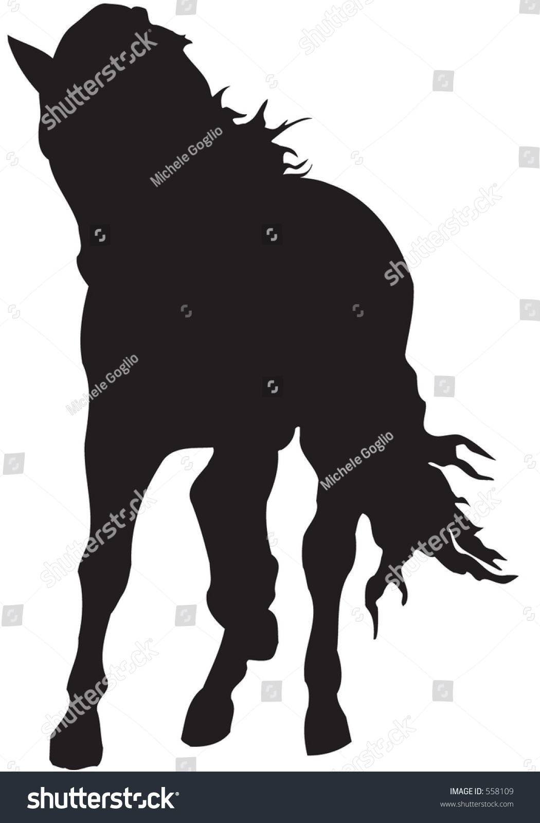 1 Queue de cheval Images, Stock Photos & Vectors | Shutterstock