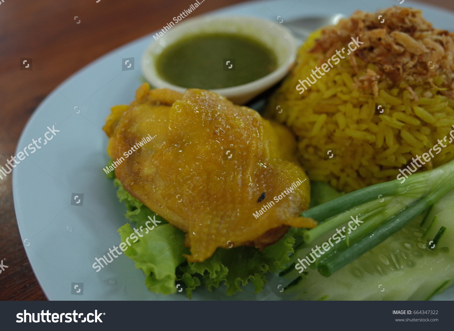 Chicken Biryani Green Chutney Stock Photo 664347322 | Shutterstock