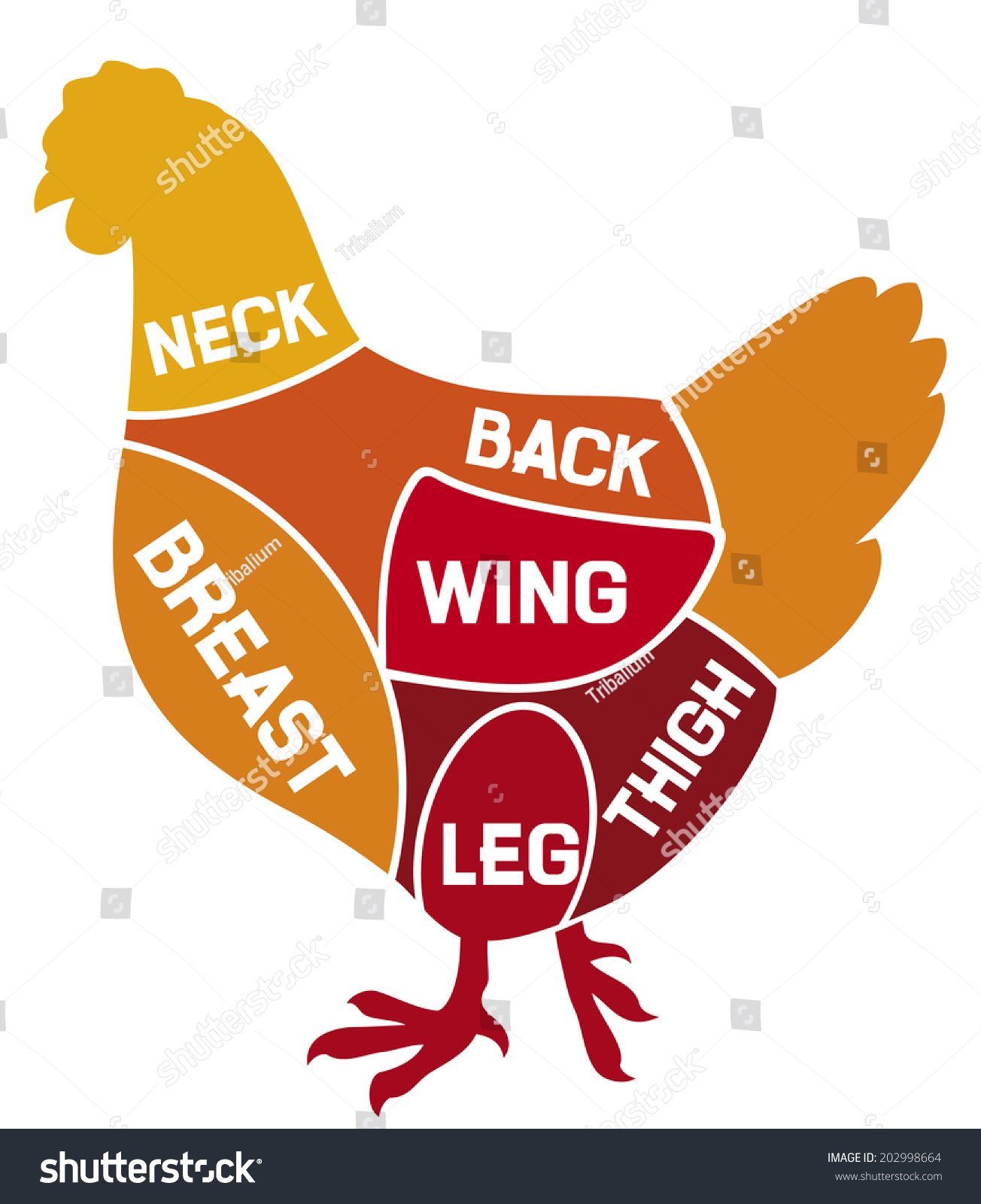 Chicken Cuts Diagram Stock Illustration 202998664 - Shutterstock