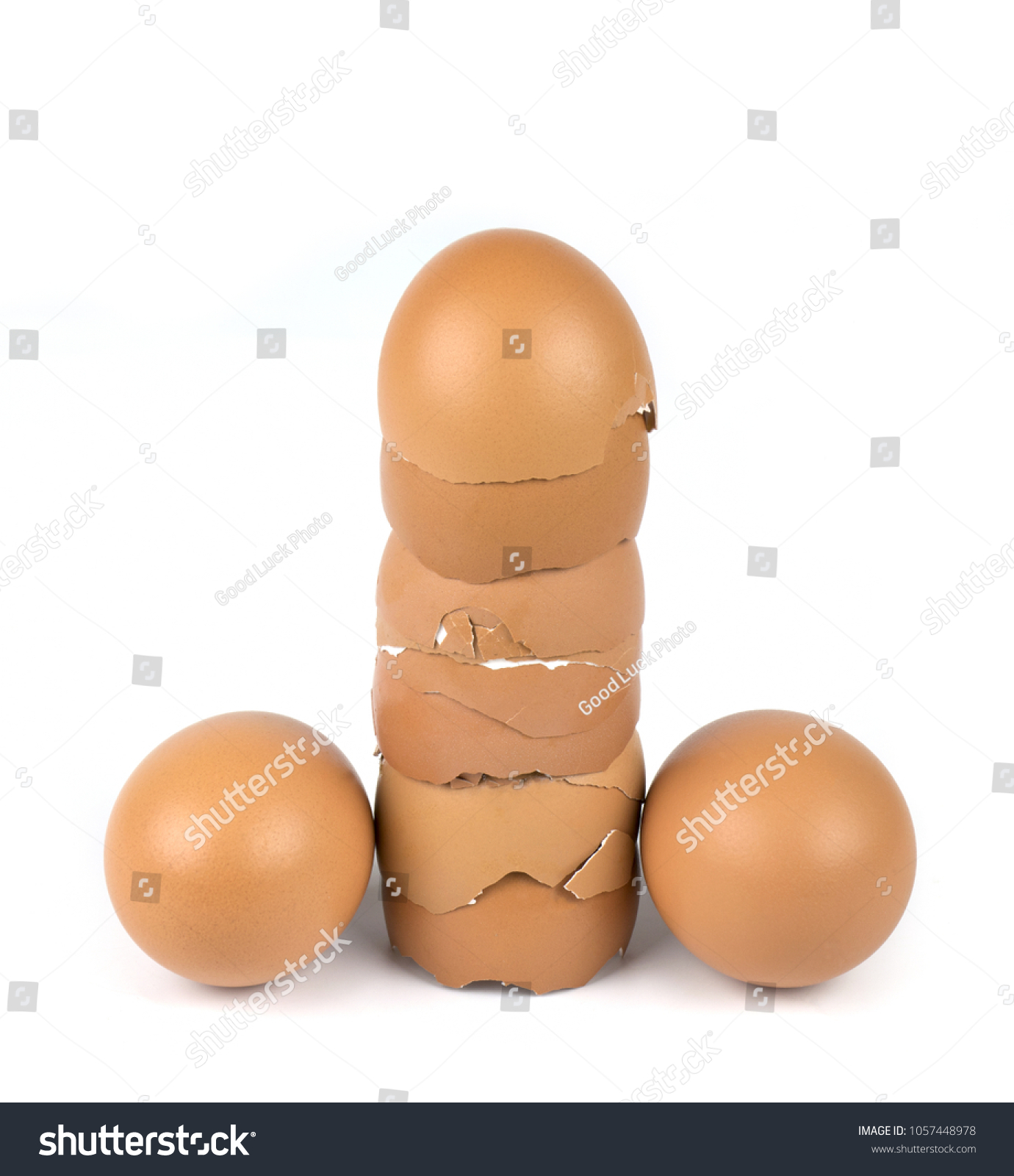 arousal of penis Arousal of penis