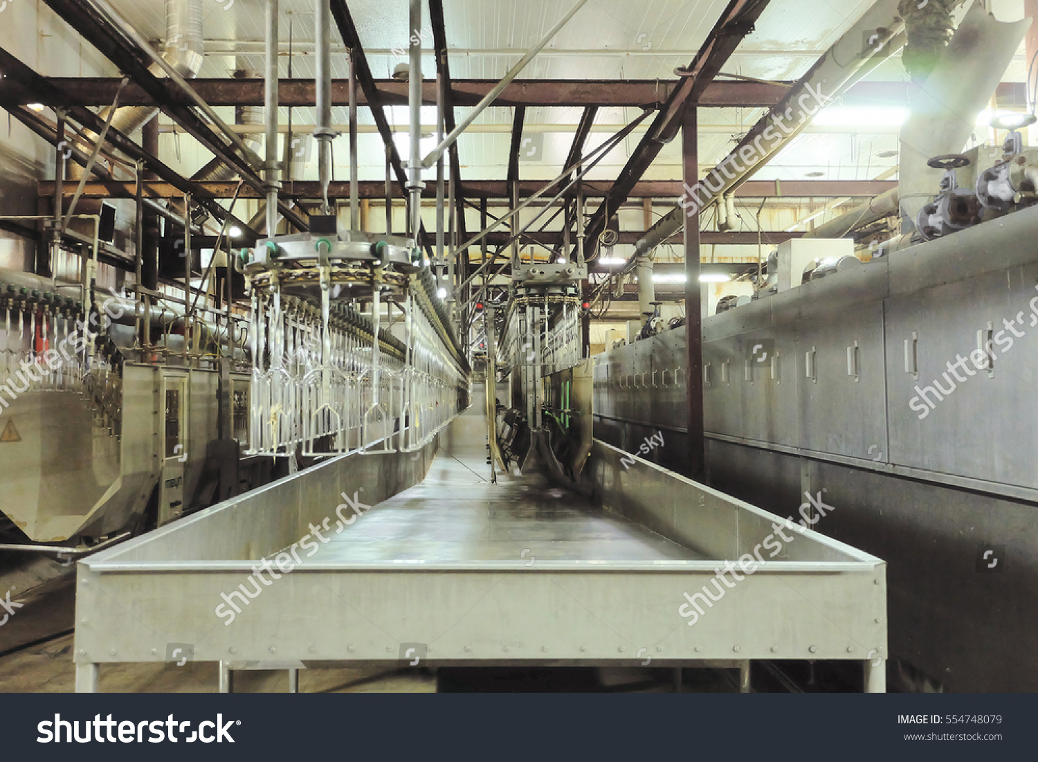 Modern poultry factory: Moscow region as a center for poultry farming 78 Modern poultry factory: Moscow region as a center for poultry farming 89