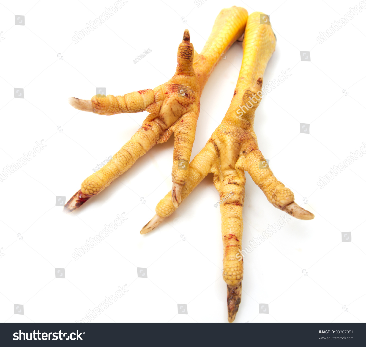 Chicken Feet On White Background Stock Photo 93307051 - Shutterstock