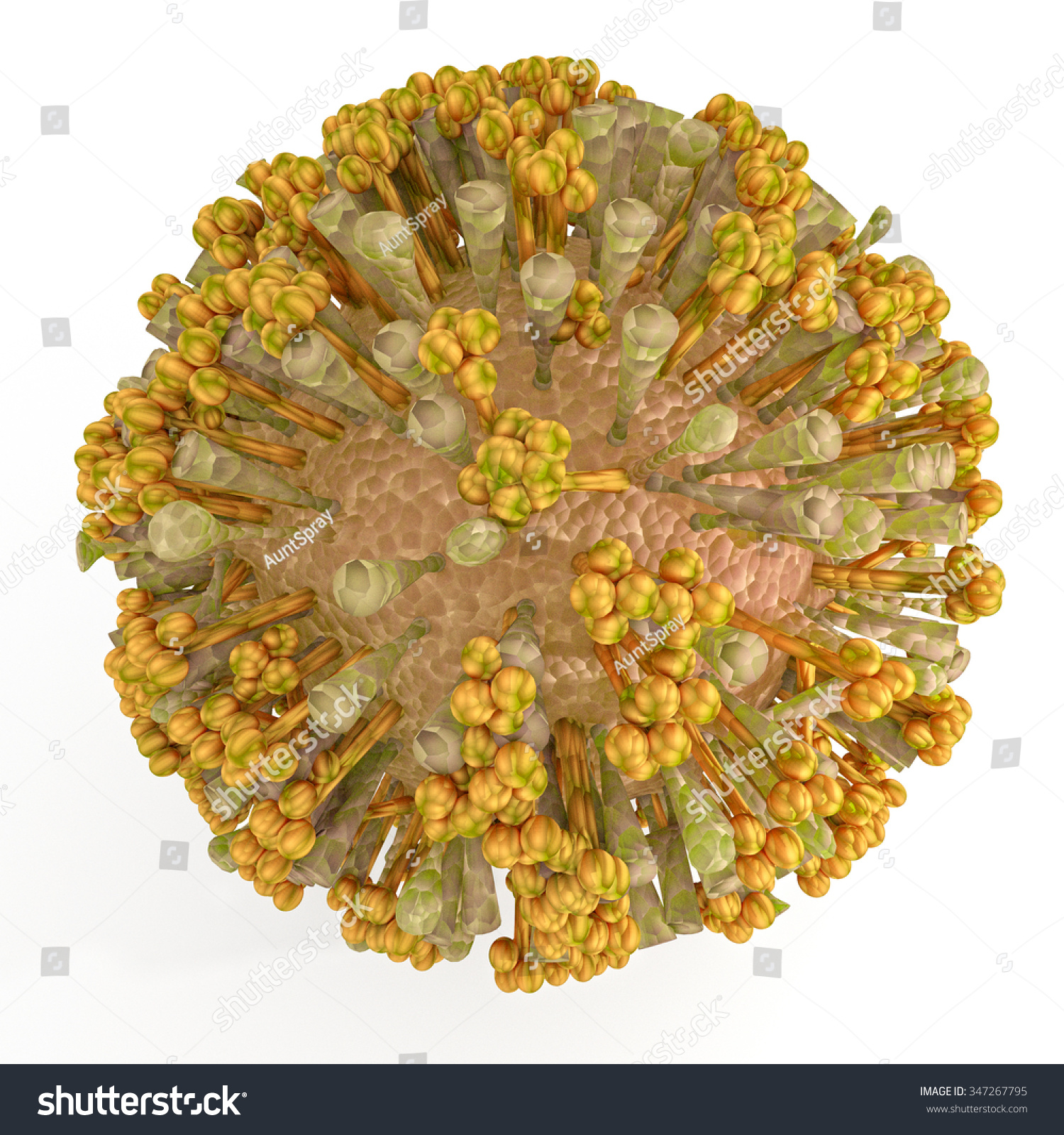 Chikungunya Virus Infection That Causes Fever Stock Illustration 347267795