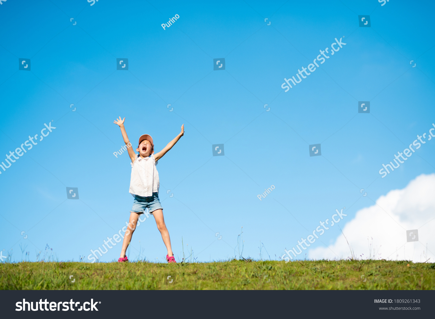 Child Shouting Both Hands Raised Meadow Stock Photo 1809261343 ...