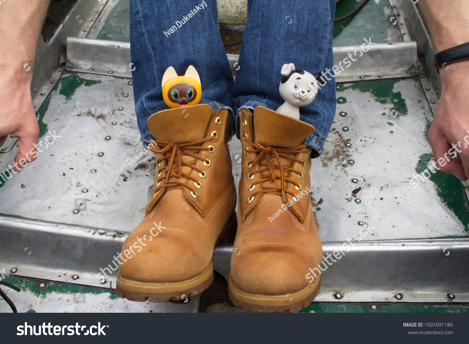 dog boat booties