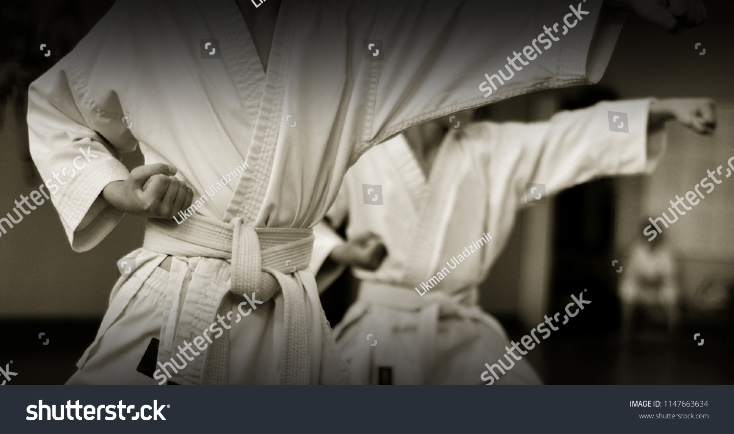 23,908 White belt karate Stock Photos, Images & Photography | Shutterstock