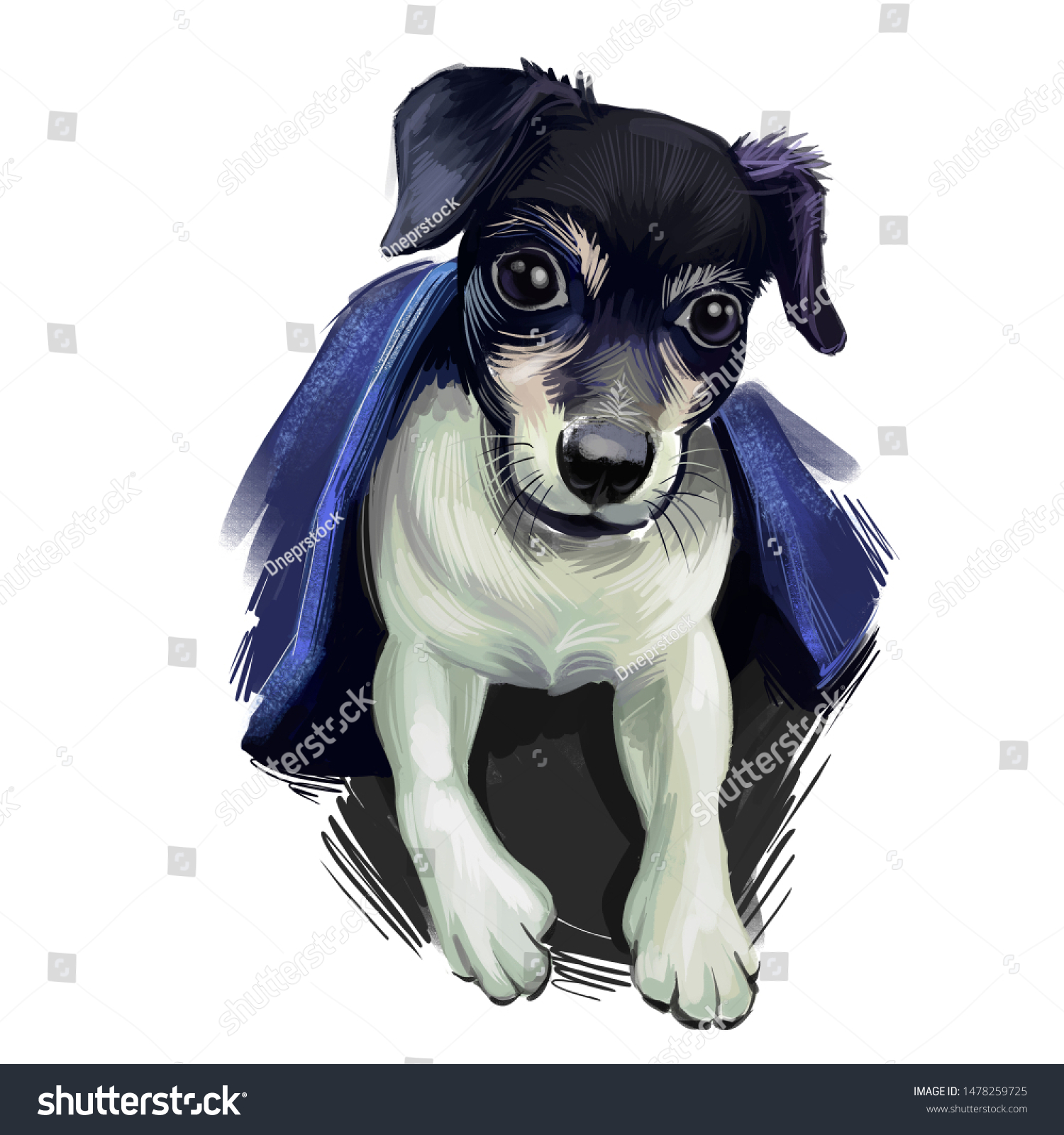 Chilean Fox Terrier Dog Breed Isolated Stock Illustration 1478259725