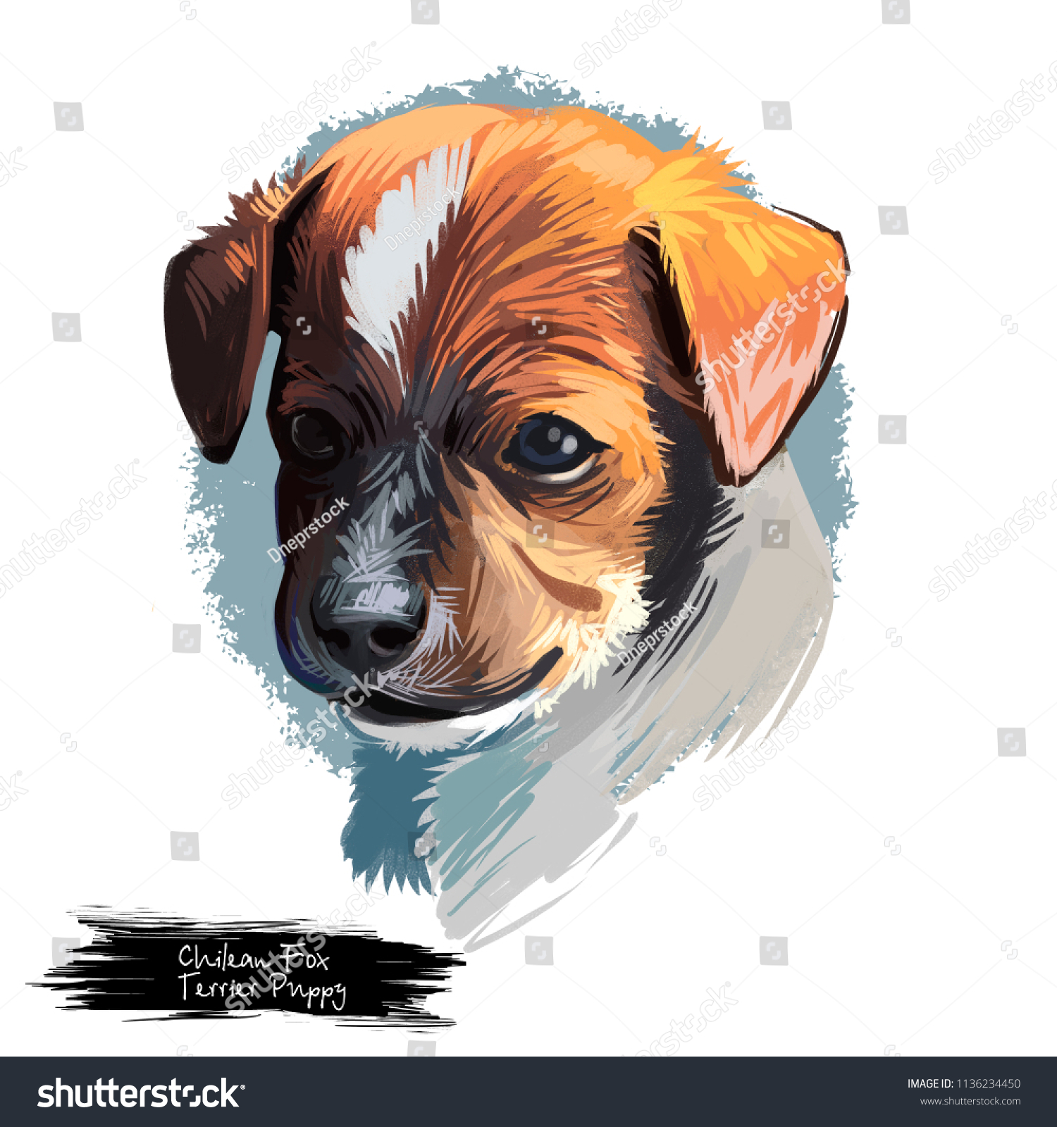 Chilean Fox Terrier Puppy Pet Chile Stock Illustration 1136234450