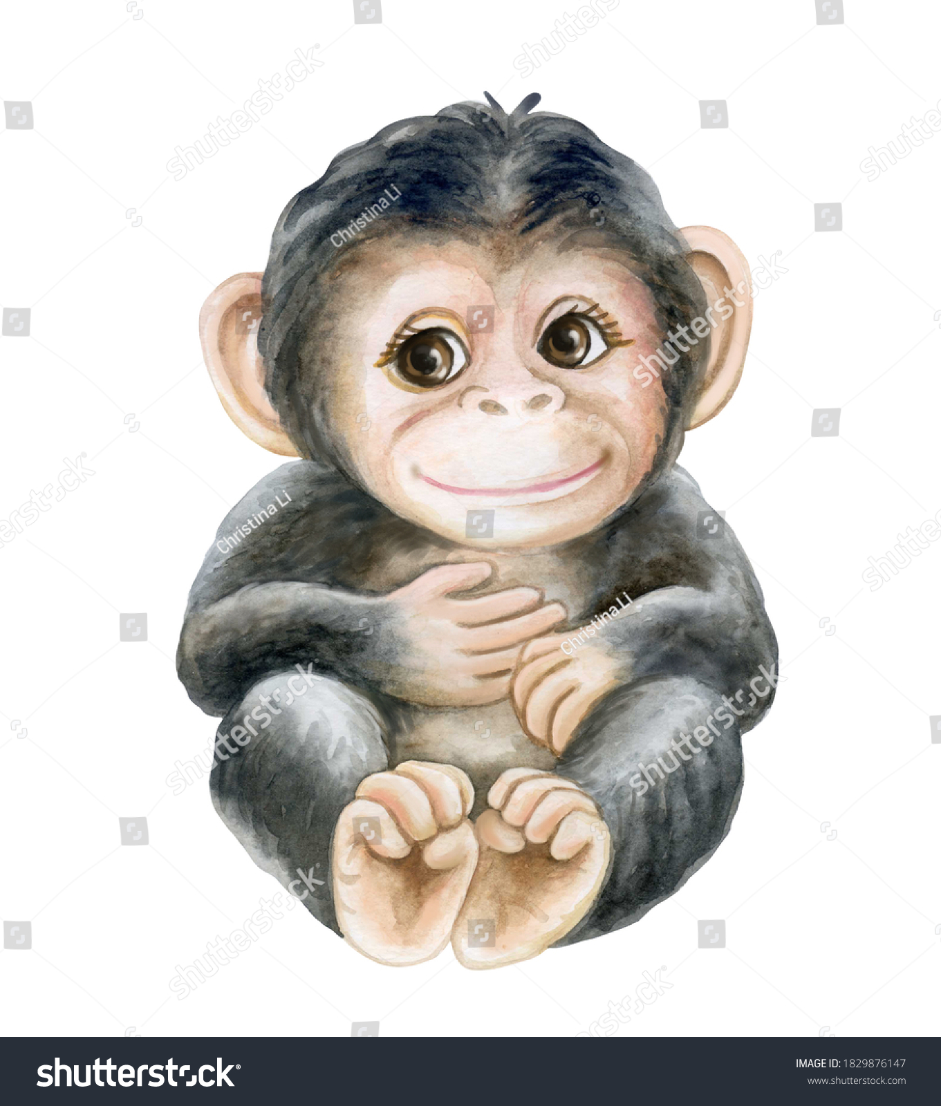 Chimpanzee Cub Baby Monkey Isolated On Stock Illustration Shutterstock