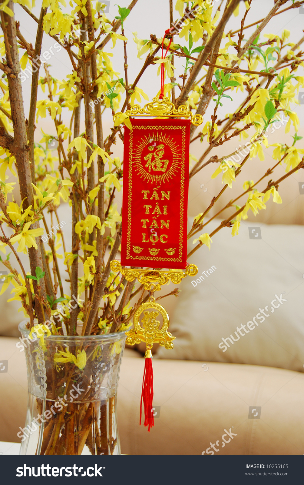 Chinese New Year Flower Decorated Chinese Stock Photo Edit Now 10255165