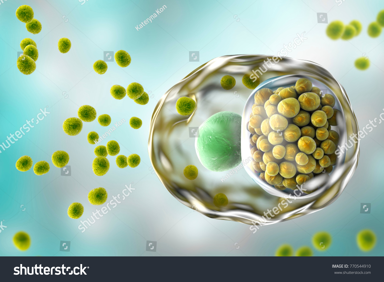 Chlamydia Trachomatis Bacteria 3d Illustration Showing Stock Illustration 770544910 3748