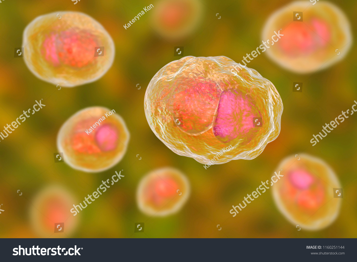 Chlamydia Trachomatis Bacteria 3d Illustration Showing Ilustración De Stock 1160251144