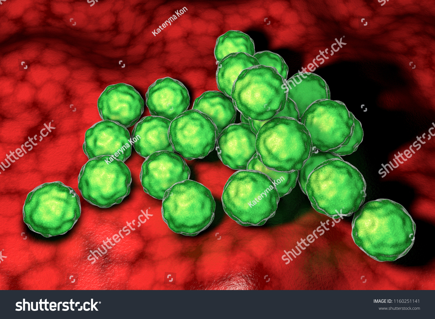 Chlamydia Trachomatis Bacteria 3d Illustration Causative Ilustración De Stock 1160251141 7612