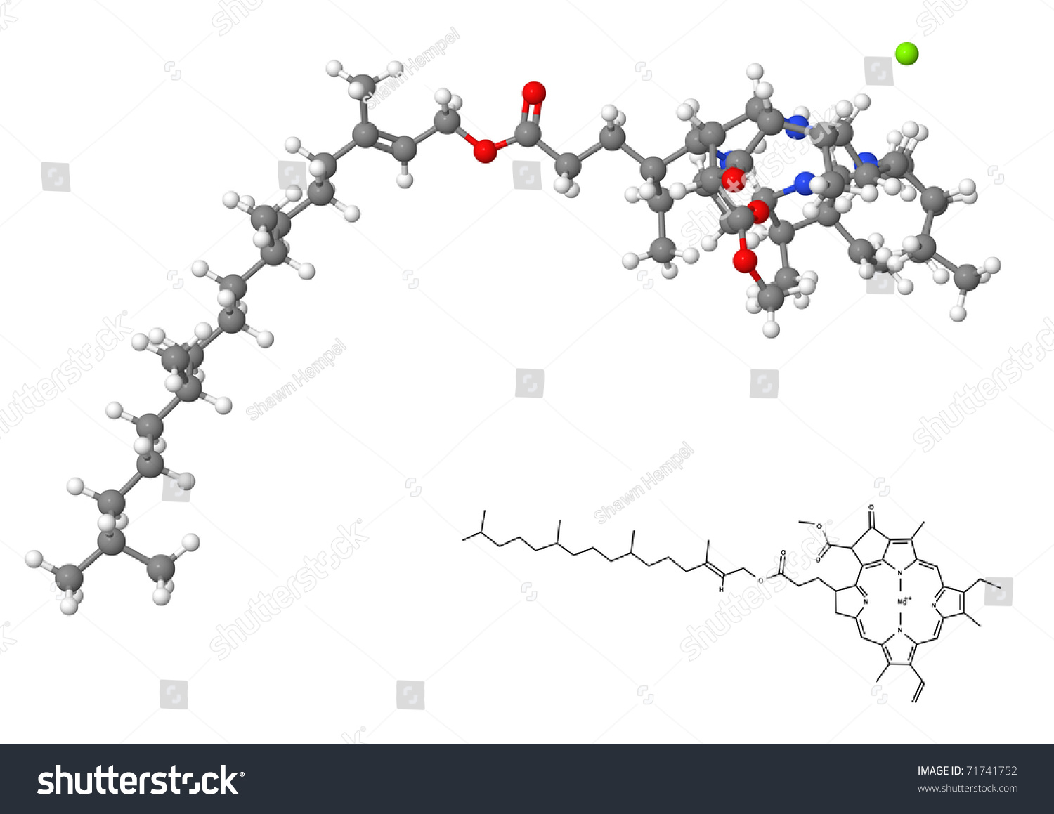 Chlorophyll Molecule With Chemical Formula Isolated On White Background ...