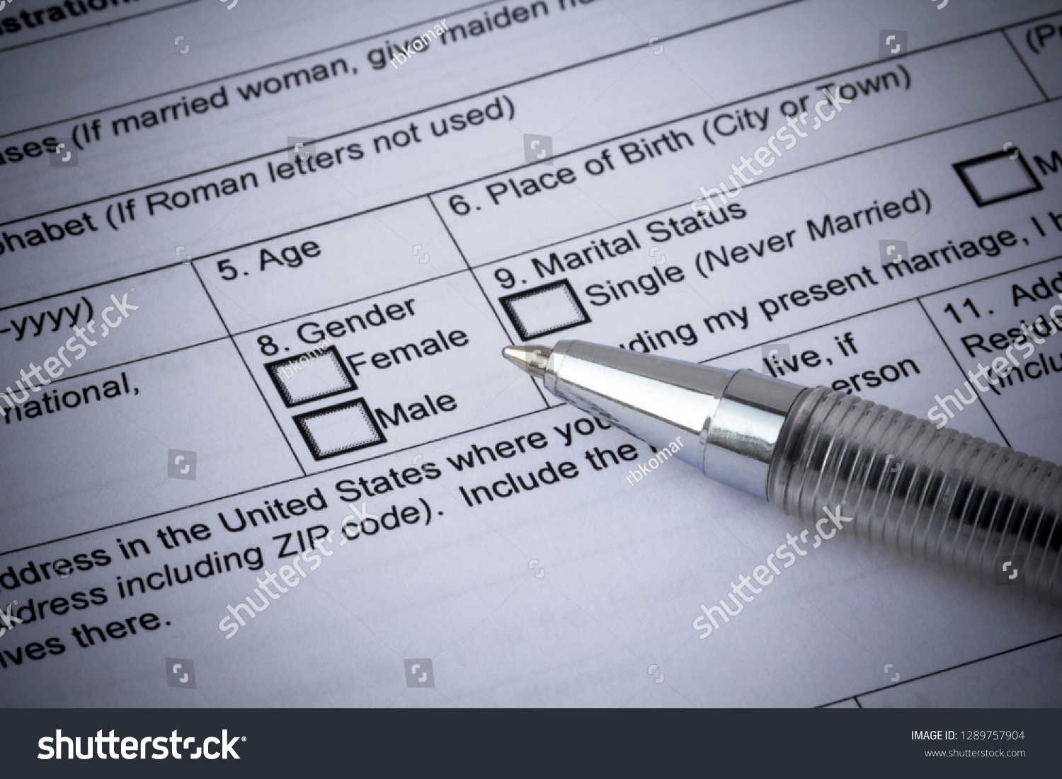 Choice Gender Application Form Pen Female Stock Photo 1289757904 