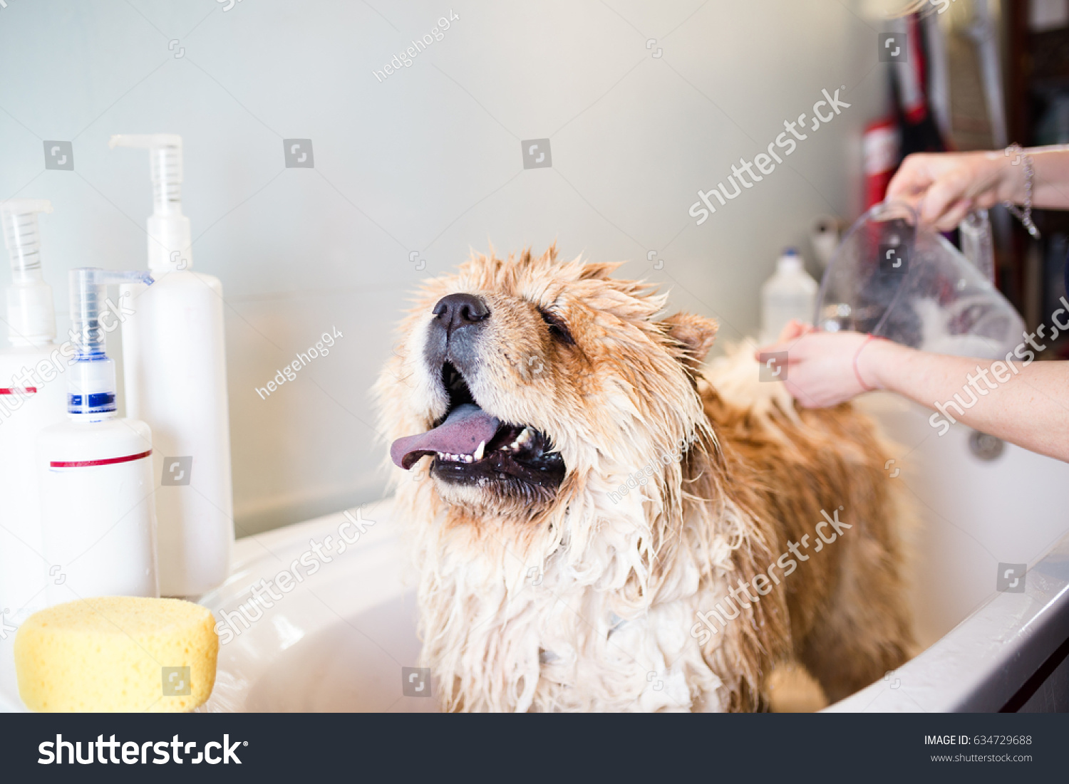dog muzzle for bathing