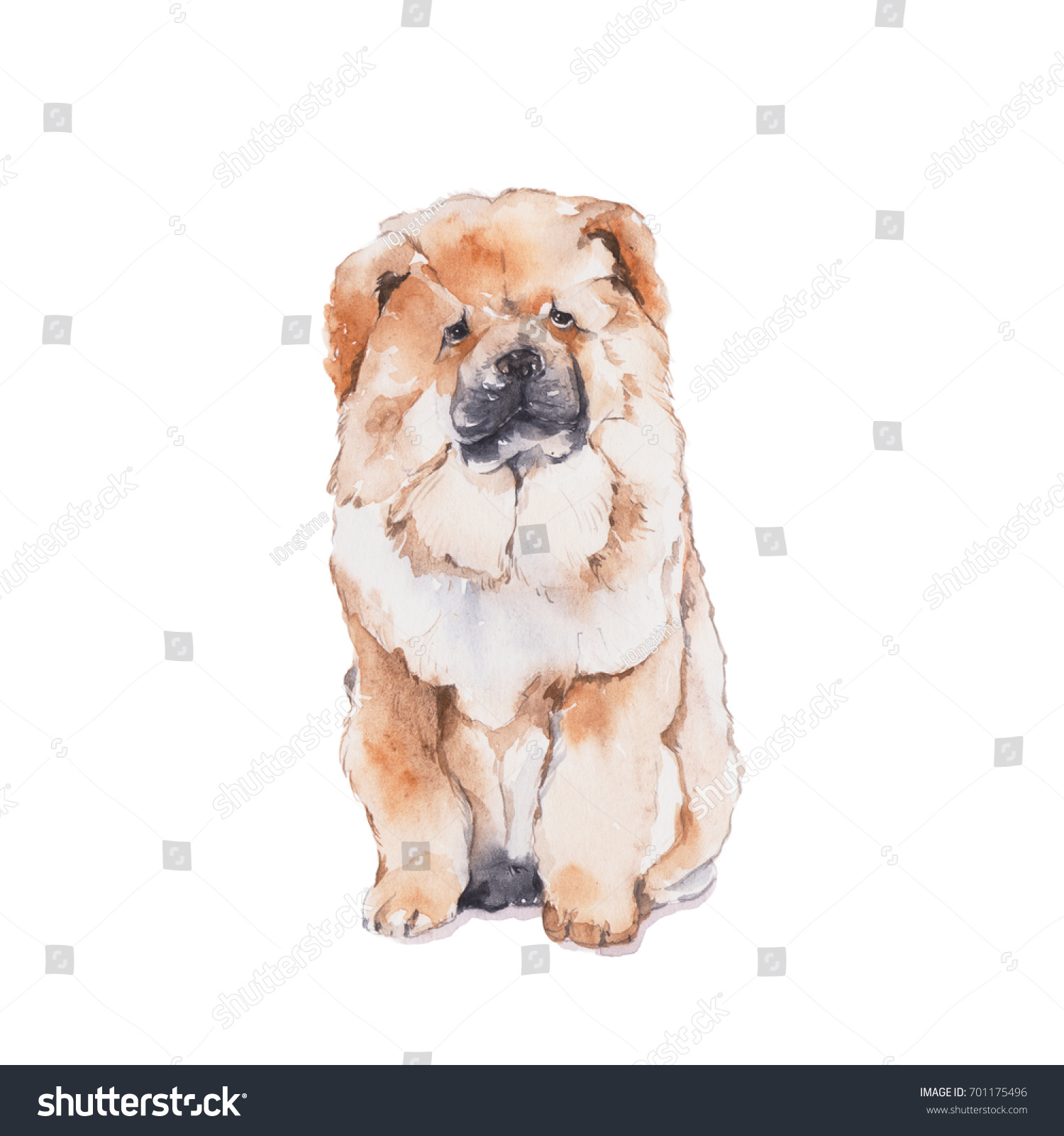 chow chow painting