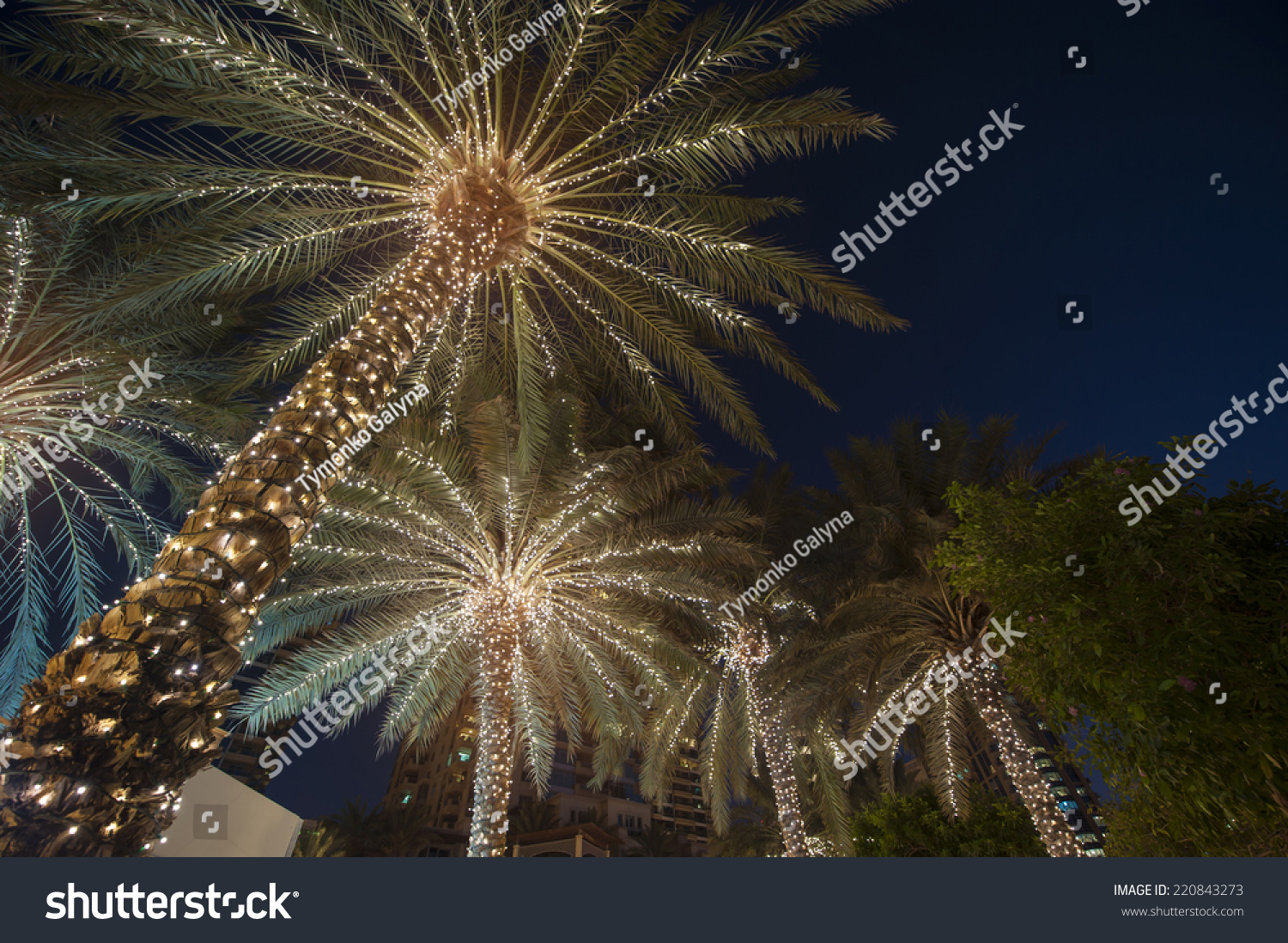 Christmas Background Palm Tree Stock Photo 220843273 - Shutterstock