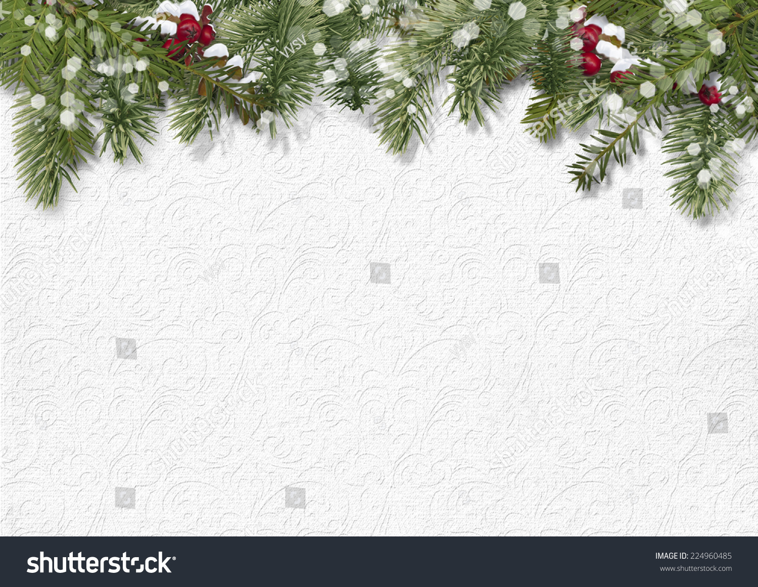 Christmas Background With Holly,Firtree Stock Photo 224960485 : Shutterstock