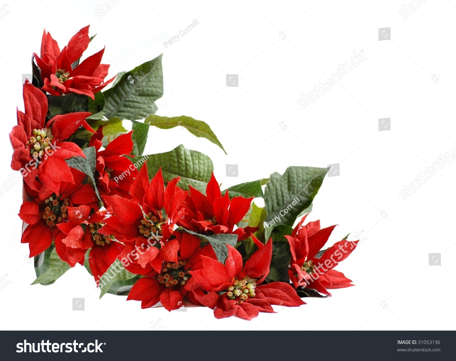 Christmas Corner Border Background With A Thick Arrangement Of Bright ...