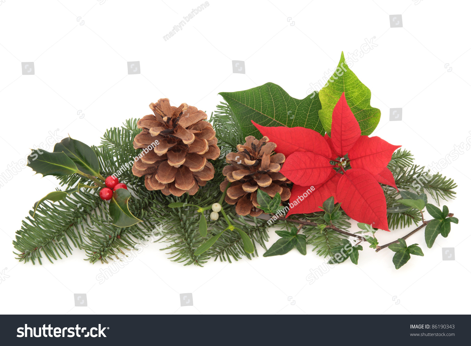 Christmas Decoration Of Mistletoe, Holly With Berries, Poinsettia ...