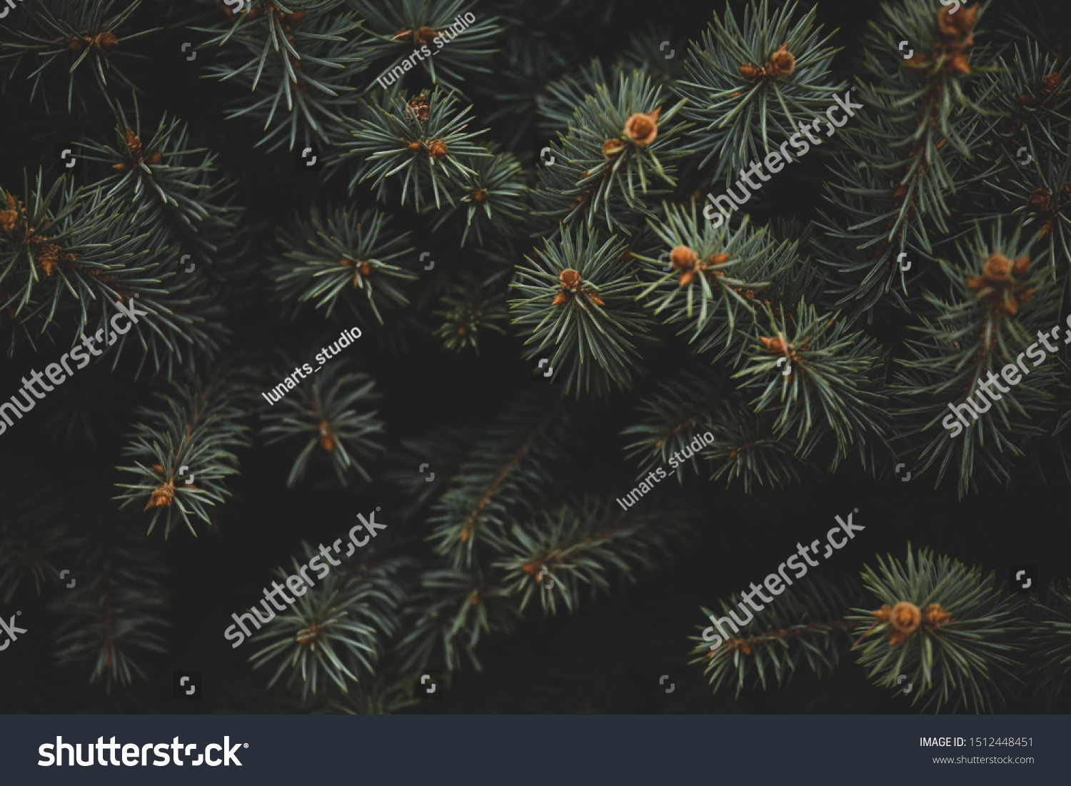 Download Christmas Frame On Background Christmas Tree Stock Photo Edit Now 1512448451 PSD Mockup Templates