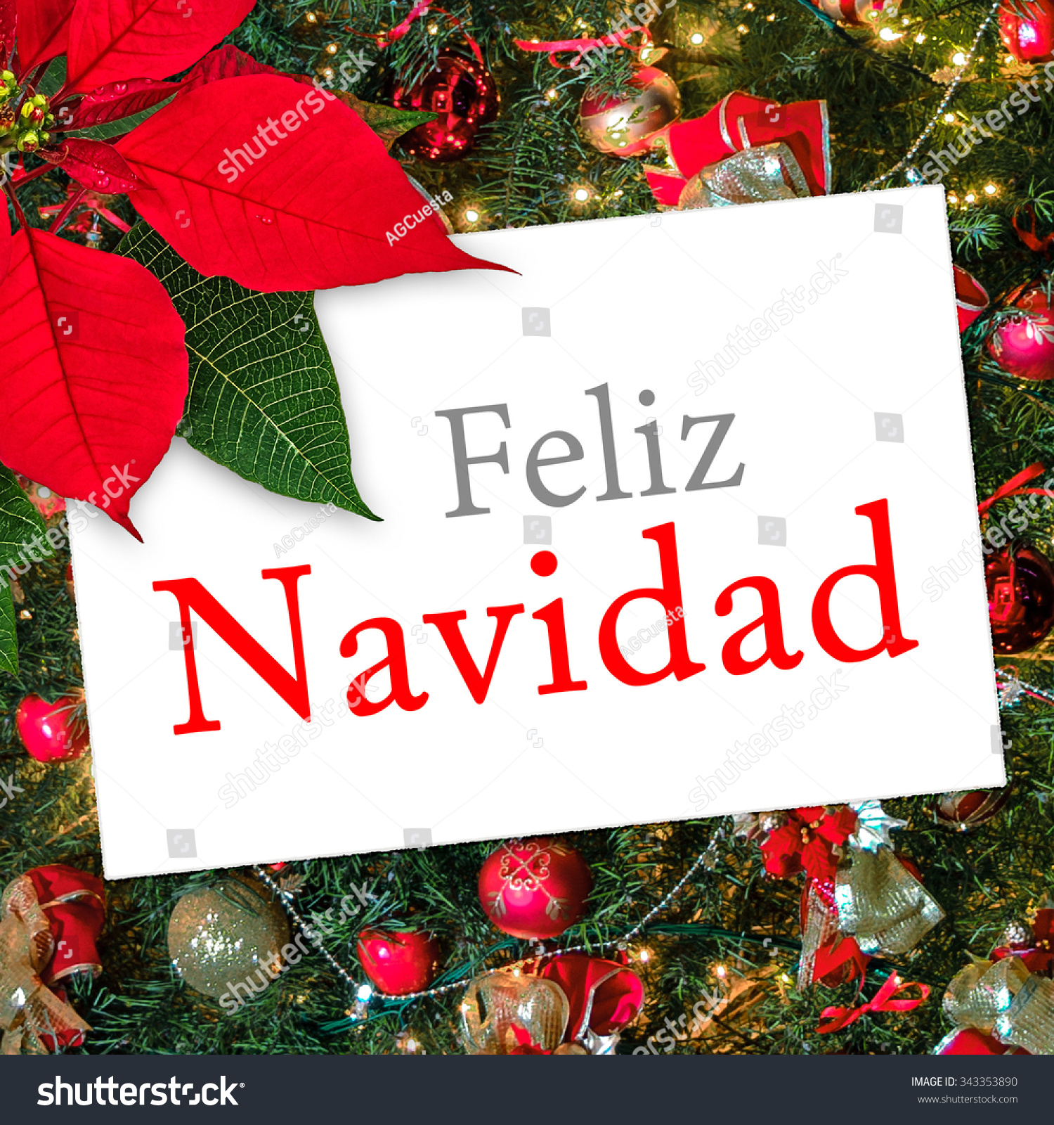 Christmas Greeting Card With Text Feliz Navidad, Ribbon And Poinsettia