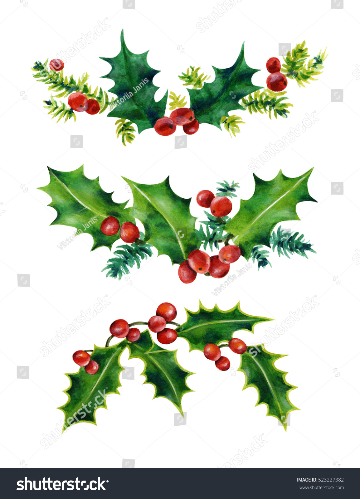 Download Christmas Holly Set Holly Leaves Red Stock Illustration 523227382 PSD Mockup Templates