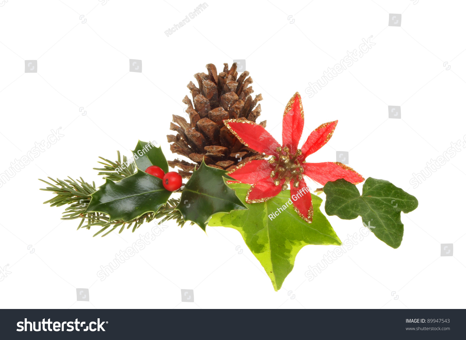 Christmas Seasonal Foliage, Holly,Ivy,Pine Needles, Pinecone And An ...