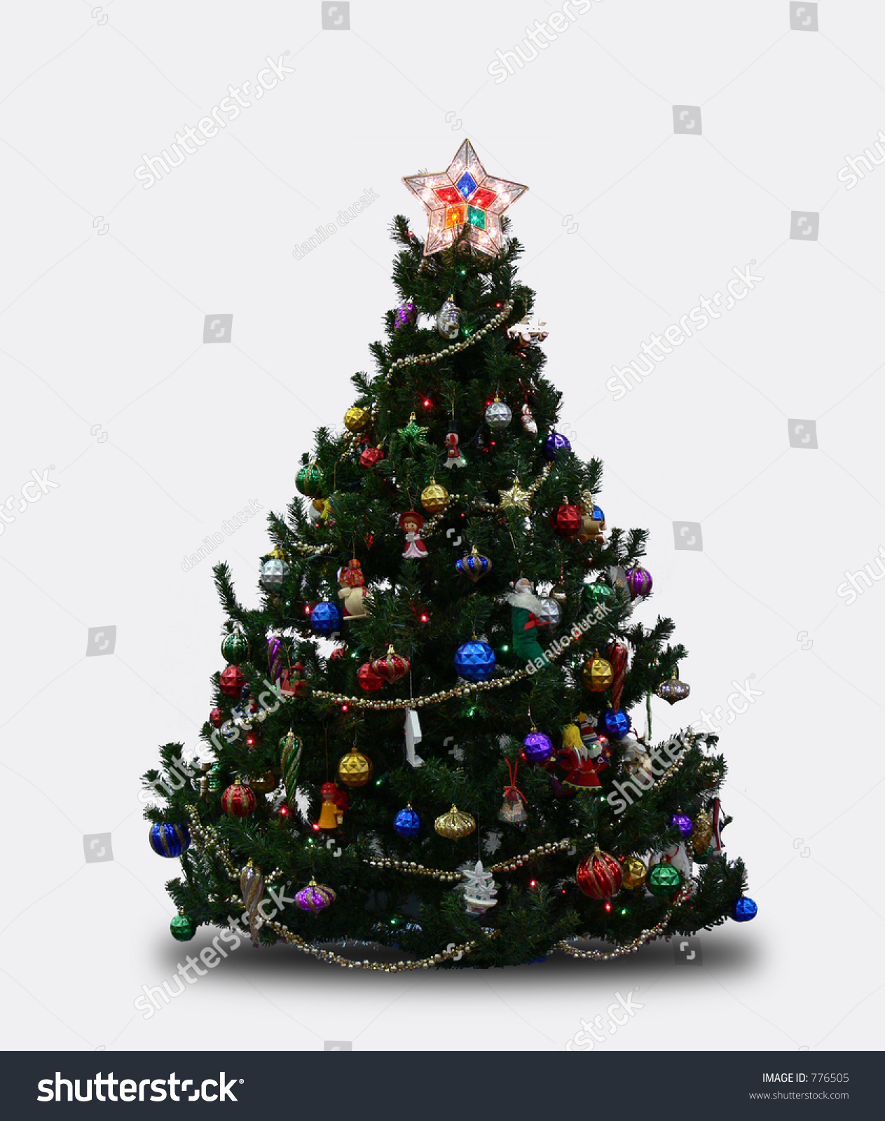 Christmas Tree Stock Photo 776505 : Shutterstock