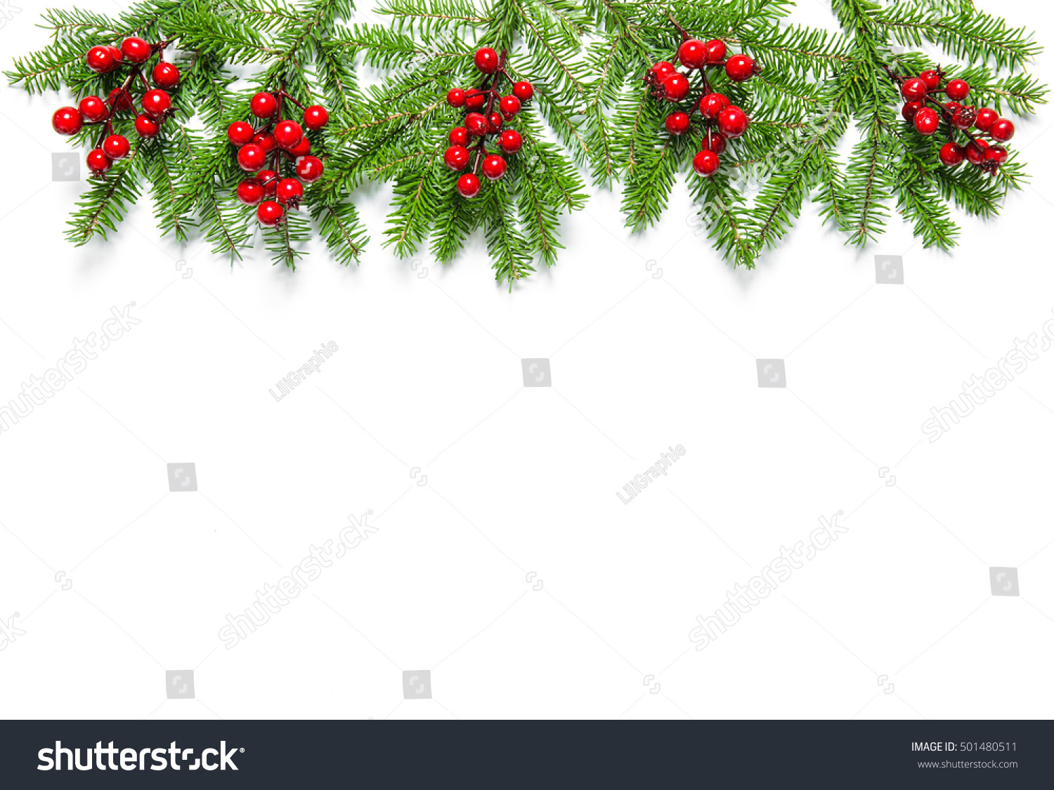 34,980 Berries on evergreen tree branch Images, Stock Photos & Vectors ...