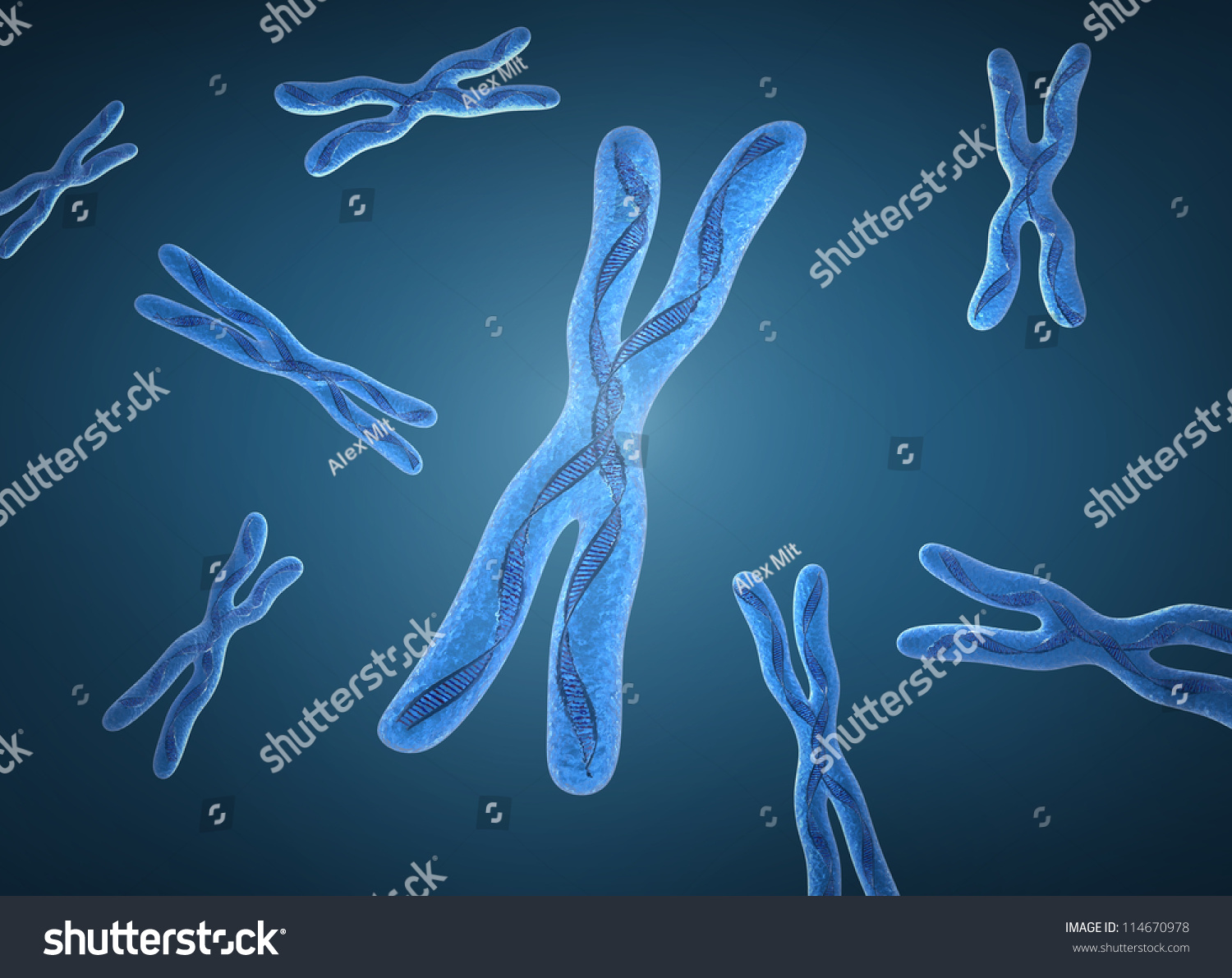 Chromosome X And Dna Strands Stock Photo 114670978 : Shutterstock