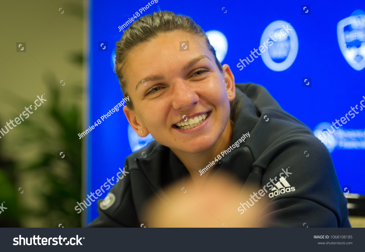 simona halep world Senior