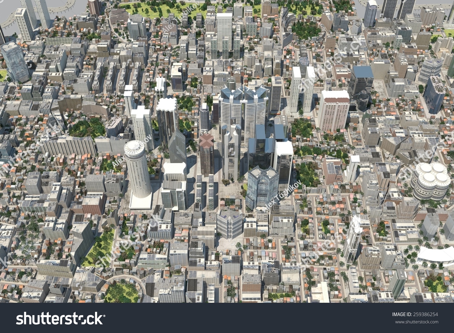 city bird view