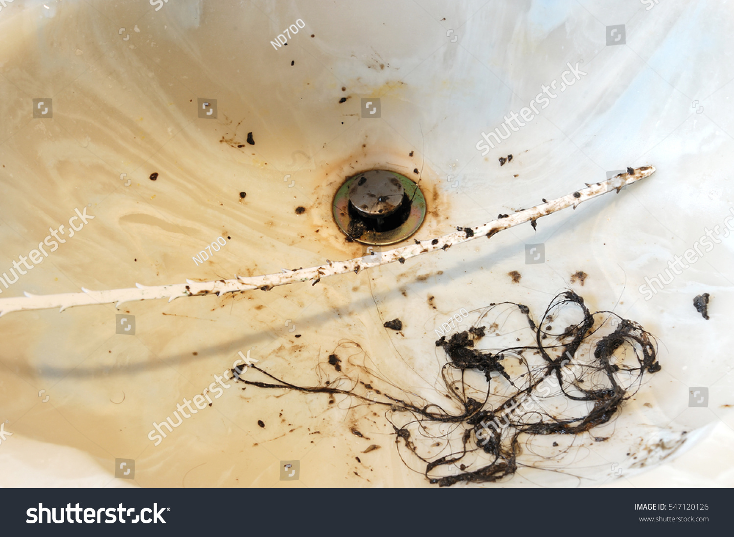 Cleaning Water Sink Clogged By Hair Stock Photo Edit Now