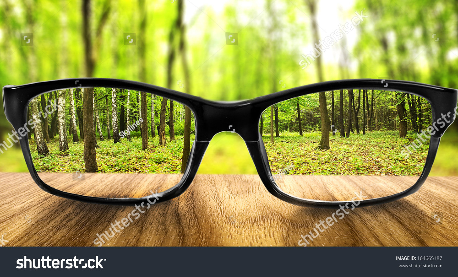 stock photo clear forest in glasses on the background of blurred forest 164665187