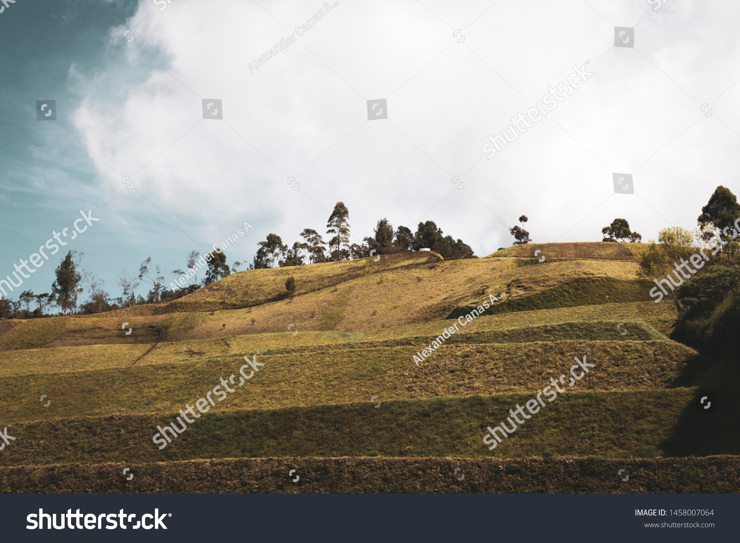 Clear Land Build House Stock Photo Edit Now 1458007064