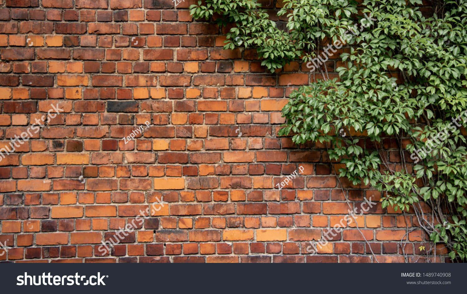 Leaf on brick wallpaper Images, Stock Photos & Vectors | Shutterstock