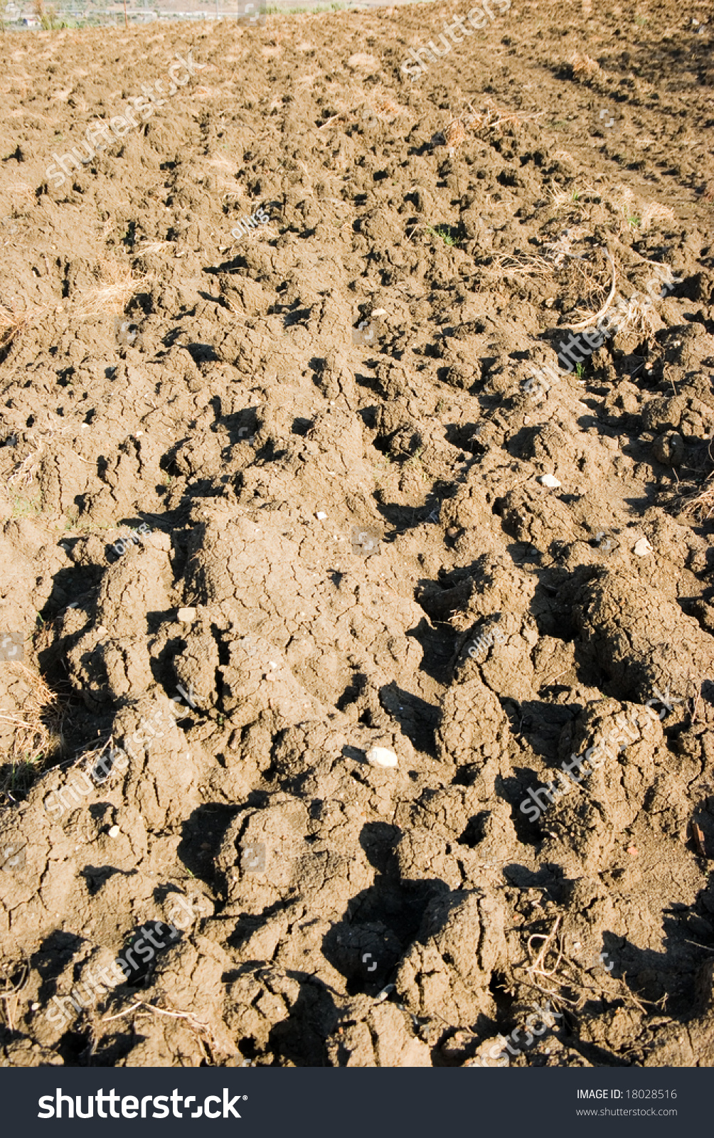 Clods Of Land In A Plowed Field Stock Photo 18028516 : Shutterstock