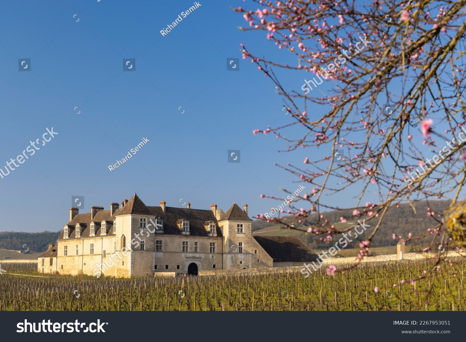  Teal Classic  Template Design Featuring Clos De Vougeot Castle Cote