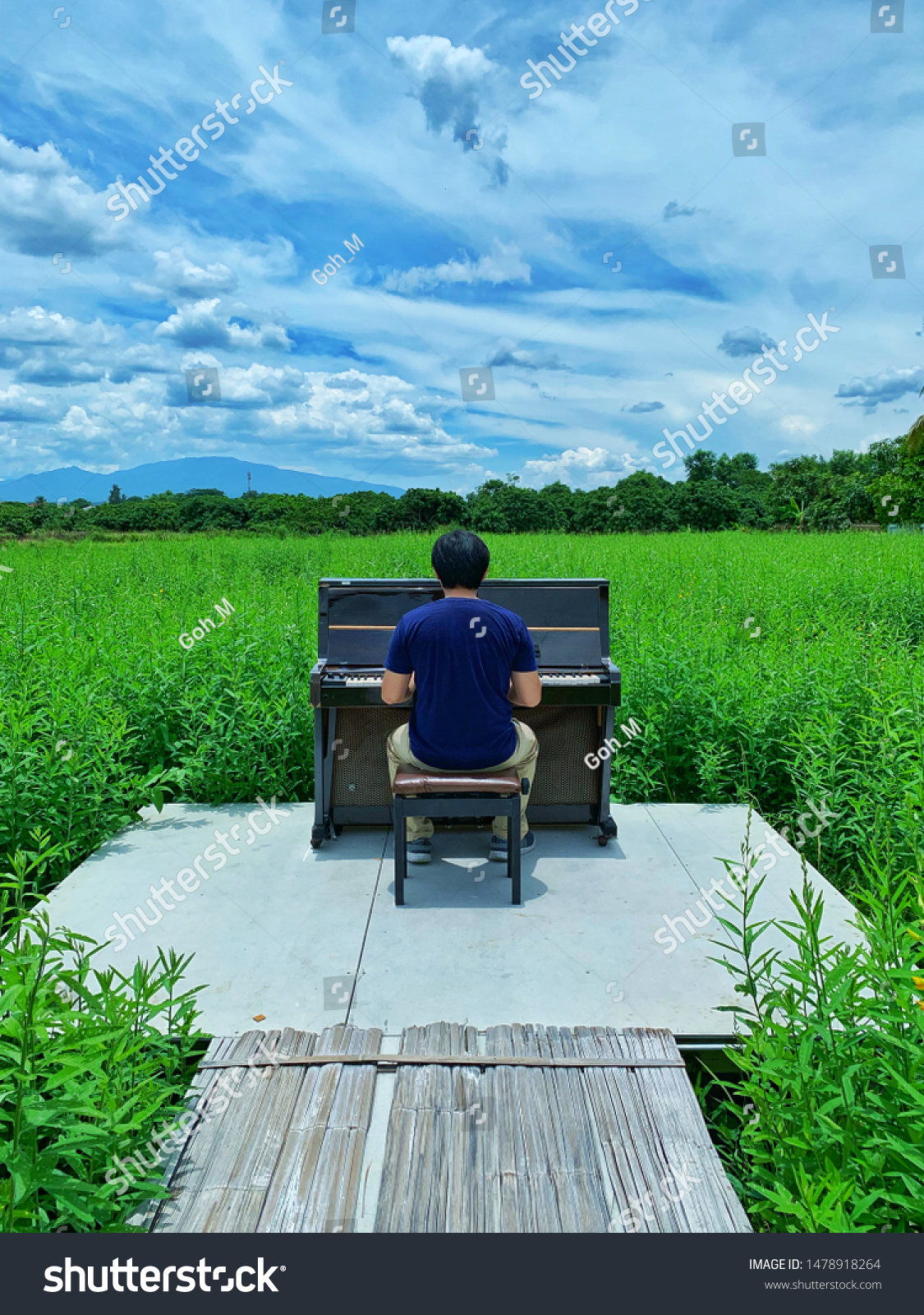 Close Man Play Piano Forest Garden Stock Photo Edit Now