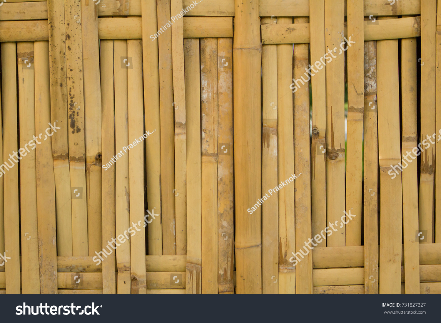 Download Close Beautiful Yellow Bamboo Wall Made Stock Photo Edit Now 731827327 PSD Mockup Templates