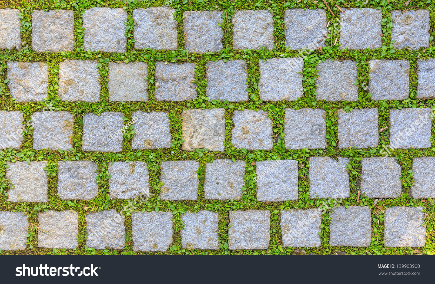 Close Cube Rock Green Grass Footpath Stock Photo 139903900 - Shutterstock