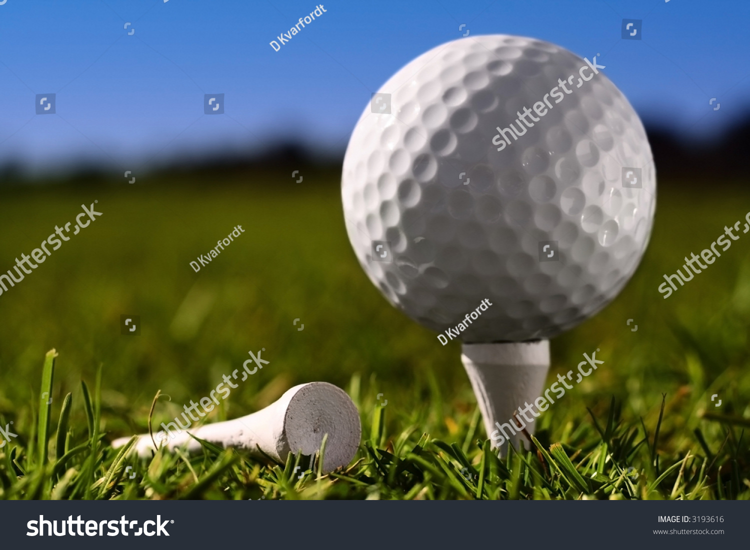 Close Up Golf Ball On Peg. Shallow Depth Of Field With Focus On Front ...